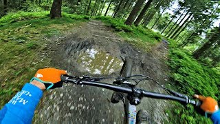 'Roots' Singletrail at Bikepark Hahnenklee