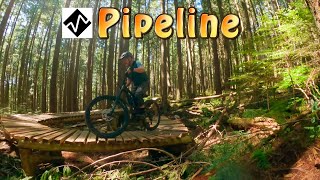 Best MTB ladder bridge in North Vancouver, BC...