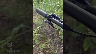 Syncline C3  #polygonbikes