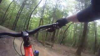 Ridgeline Trail - DuPont State Forest - All...