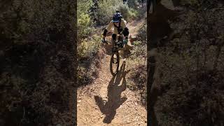 Freewheel #mtb #bike #enduro #mountainbike...