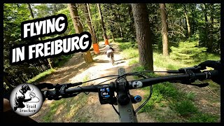 Freiburg im Breisgau - Borderline and Canadian...