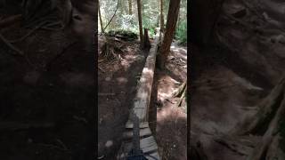 Log Ride on the North Shore Vancouver #shorts 