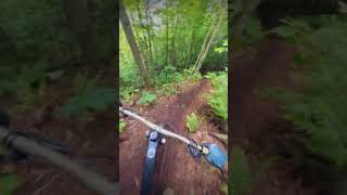 LANDau medley, part #2 - sentier difficile au...