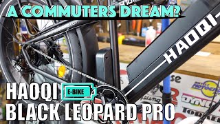 HAOQI Black Leopard Pro: Initial Impressions |...