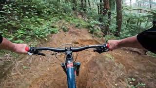 Flow Rider @ Lake Mangamahoe MTB Park. Taranaki