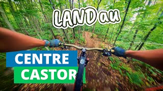 Je roule LANDau dans une ambiance junglesque. 