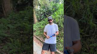 Botellitas de silicona para running, MTB o...
