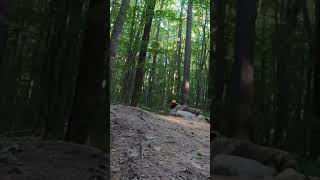 Tuesday Tricks!!!