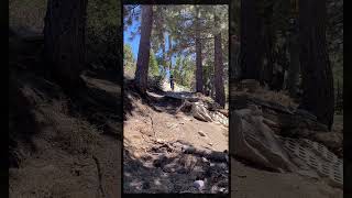 Big Bear Downhill Mountain Bike Race June 18,...