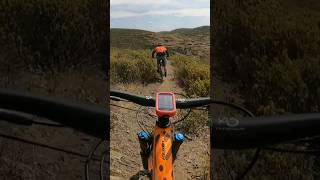 Scary MTB steps  #mtb #mountainbike #shorts...
