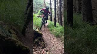 Shredding my dream bike setup  #mtb...