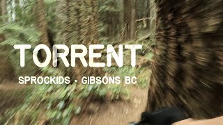 Torrent and New Torrent ❱ Sprockids ❱...