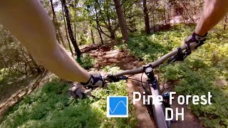Änggårdsbergen - Pine Forest DH