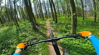 Bikepark Beerfelden - Blue Wave with new top...
