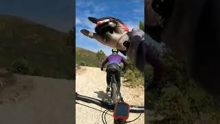 Quién tiene un amigo tiene un tesoro  #ebike...