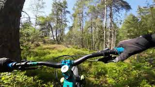 MTB - Görväln - Boar Line