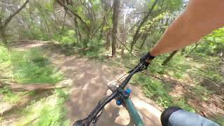 Severe Consequences - Walnut Creek...