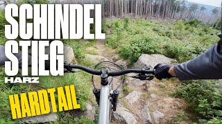Harz MTB | Schindelstieg 2 mit Hardtail |...