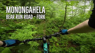 Monongahela National Forest - Fork Mountain...
