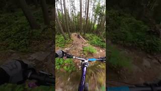 The worst trail entrance