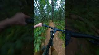 Tree Weaving!!