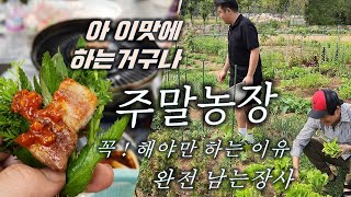 주말농장 강추완전 싱싱한 야채는...