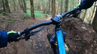 Edek, Dzikus, Droga do Domu - trasy enduro MTB...