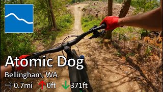 Atomic Dog - Galbraith - Bellingham, WA