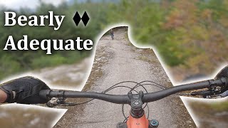 One Big Slab | Highlands - Bearly Adequate