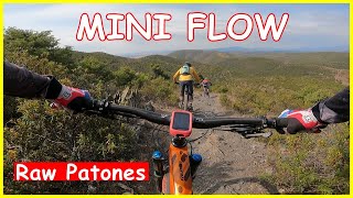 Mini Flow    Living Enduro MTB