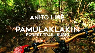 Anito Trail Line | Pamulaklakin Forest Trail