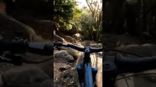 The best slabs #asmr #shorts #mountainbike