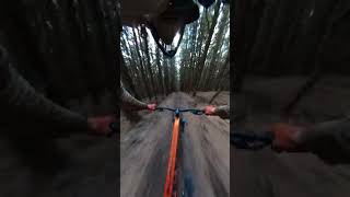 3G Golfie mtb