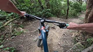 Damiens @ Mt Victoria. Wellington.