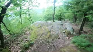 Moreau Lake Western Ridge DH