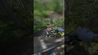 MTB Husarentempel Trail ⚫ #shorts