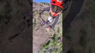 360 EWS Trail from the Golfie! #mtbtrailhub...