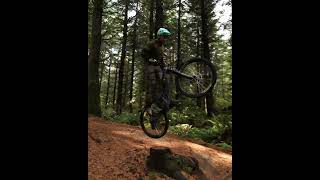 4 (and 1/2) summer riding tips