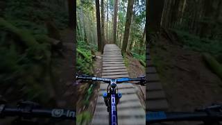 North Shore Jump Trail!