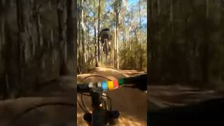 Following Phil dog #shorts #mountainbike #jumps