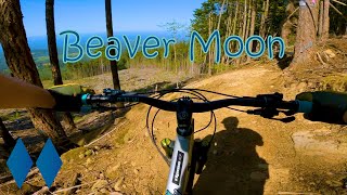 Beaver Moon | Port Angeles, WA | Big Sender |...