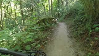 MTB: Firelane 5 - Forest park - Portland, Oregon