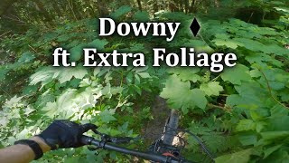 A Whole New Meaning to Blind Turns | Downy - Burke