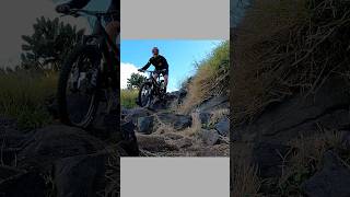 Slow mo rock garden  #slowmo #asmr #shorts