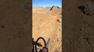 Favorite Section of a Local Trail #shorts