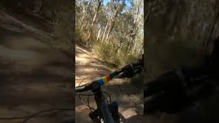 This trail is to good #mountainbike