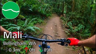 Mali - Galbraith - Bellingham, WA