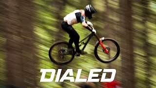 DIALED S5-EP17: Puzzling through qualifiers at...