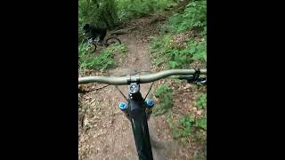 BIKELÄND EBERBACH Lumberjäck rocks  with...